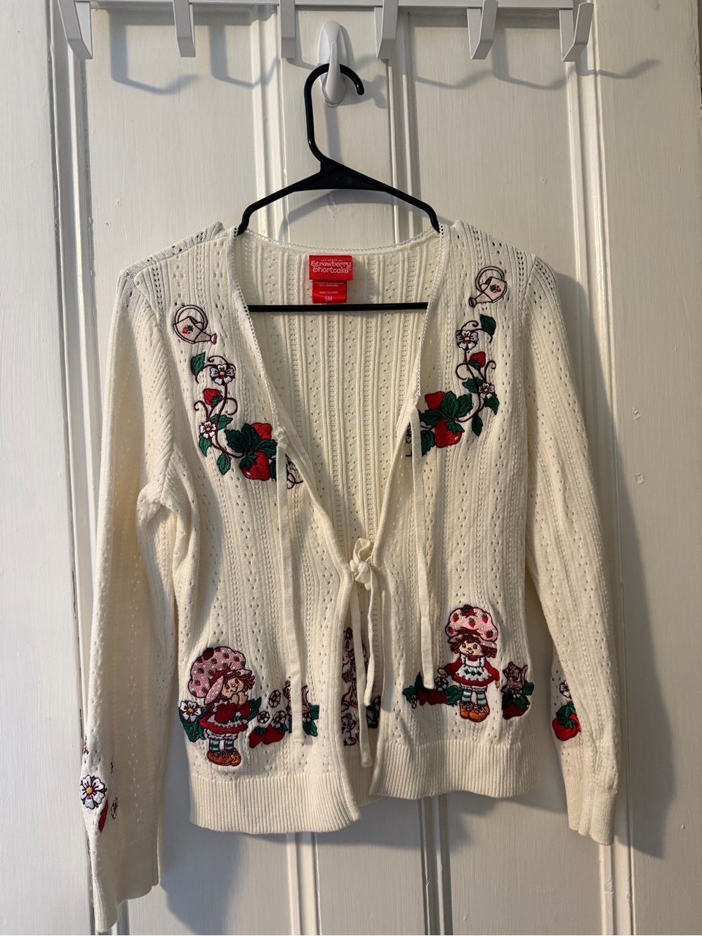 Strawberry Shortcake sweater
